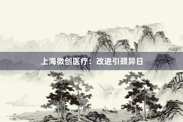 上海微创医疗：改进引颈异日
